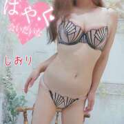 ヒメ日記 2025/09/28 23:08 投稿 しおり 熟女デリヘル秘宝館Z