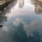 ヒメ日記 2025/04/10 18:33 投稿 ノア PLEASURE