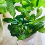 ヒメ日記 2025/05/30 00:47 投稿 ノア PLEASURE