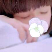 ヒメ日記 2024/12/14 00:11 投稿 さとみ 夜這専門発情する奥様たち 谷九店