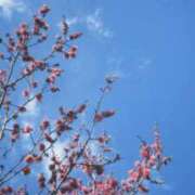 ヒメ日記 2025/02/21 07:41 投稿 さとみ 夜這専門発情する奥様たち 谷九店