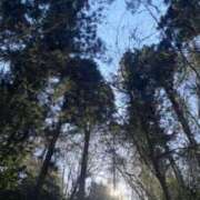 ヒメ日記 2025/03/12 07:41 投稿 さとみ 夜這専門発情する奥様たち 谷九店