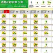 ヒメ日記 2025/03/23 08:41 投稿 さとみ 夜這専門発情する奥様たち 谷九店