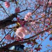 ヒメ日記 2025/03/24 08:11 投稿 さとみ 夜這専門発情する奥様たち 谷九店