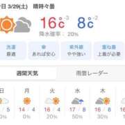 ヒメ日記 2025/03/29 08:41 投稿 さとみ 夜這専門発情する奥様たち 谷九店