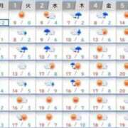 ヒメ日記 2025/03/31 08:31 投稿 さとみ 夜這専門発情する奥様たち 谷九店