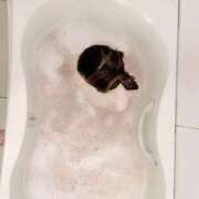 ヒメ日記 2025/05/22 09:02 投稿 さとみ 夜這専門発情する奥様たち 谷九店