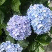 ヒメ日記 2025/06/18 09:02 投稿 さとみ 夜這専門発情する奥様たち 谷九店