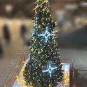 ヒメ日記 2025/11/17 20:41 投稿 さとみ 夜這専門発情する奥様たち 谷九店