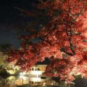 ヒメ日記 2025/12/04 18:51 投稿 さとみ 夜這専門発情する奥様たち 谷九店