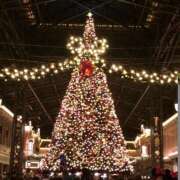 ヒメ日記 2025/12/24 20:02 投稿 さとみ 夜這専門発情する奥様たち 谷九店