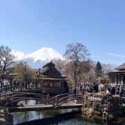 ヒメ日記 2026/03/30 08:41 投稿 さとみ 夜這専門発情する奥様たち 谷九店