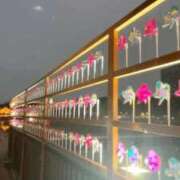 ヒメ日記 2026/03/30 20:46 投稿 さとみ 夜這専門発情する奥様たち 谷九店