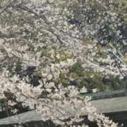 ヒメ日記 2026/04/03 17:51 投稿 さとみ 夜這専門発情する奥様たち 谷九店