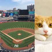 ヒメ日記 2025/01/28 15:12 投稿 レイナ 【福岡デリヘル】20代・30代★博多で評判のお店はココです！