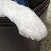 ヒメ日記 2025/02/22 17:30 投稿 レイナ 【福岡デリヘル】20代・30代★博多で評判のお店はココです！