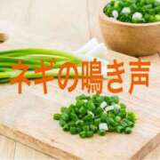 ヒメ日記 2025/03/06 08:36 投稿 レイナ 【福岡デリヘル】20代・30代★博多で評判のお店はココです！