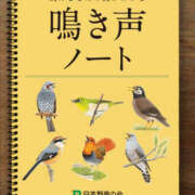 ヒメ日記 2025/03/12 11:02 投稿 レイナ 【福岡デリヘル】20代・30代★博多で評判のお店はココです！