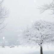 ヒメ日記 2025/03/18 13:56 投稿 レイナ 【福岡デリヘル】20代・30代★博多で評判のお店はココです！