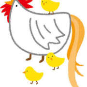 ヒメ日記 2025/03/18 18:05 投稿 レイナ 【福岡デリヘル】20代・30代★博多で評判のお店はココです！