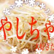 ヒメ日記 2025/03/27 20:35 投稿 レイナ 【福岡デリヘル】20代・30代★博多で評判のお店はココです！