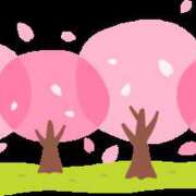 ヒメ日記 2025/04/08 16:08 投稿 レイナ 【福岡デリヘル】20代・30代★博多で評判のお店はココです！