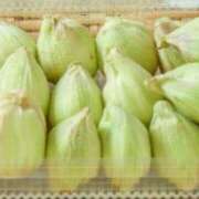 ヒメ日記 2025/04/08 21:36 投稿 レイナ 【福岡デリヘル】20代・30代★博多で評判のお店はココです！