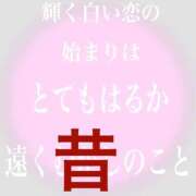 ヒメ日記 2025/04/10 23:00 投稿 レイナ 【福岡デリヘル】20代・30代★博多で評判のお店はココです！