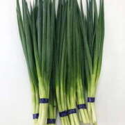 ヒメ日記 2025/04/11 20:24 投稿 レイナ 【福岡デリヘル】20代・30代★博多で評判のお店はココです！