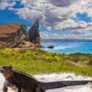 ヒメ日記 2025/04/17 00:05 投稿 レイナ 【福岡デリヘル】20代・30代★博多で評判のお店はココです！