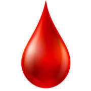 ヒメ日記 2025/06/14 11:42 投稿 レイナ 【福岡デリヘル】20代・30代★博多で評判のお店はココです！