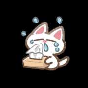 ヒメ日記 2025/06/29 13:15 投稿 レイナ 【福岡デリヘル】20代・30代★博多で評判のお店はココです！