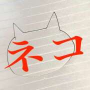 ヒメ日記 2025/07/08 03:27 投稿 レイナ 【福岡デリヘル】20代・30代★博多で評判のお店はココです！