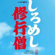ヒメ日記 2025/07/10 16:29 投稿 レイナ 【福岡デリヘル】20代・30代★博多で評判のお店はココです！