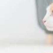 ヒメ日記 2025/07/24 21:59 投稿 レイナ 【福岡デリヘル】20代・30代★博多で評判のお店はココです！