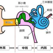 ヒメ日記 2025/08/08 18:10 投稿 レイナ 【福岡デリヘル】20代・30代★博多で評判のお店はココです！