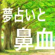 ヒメ日記 2025/08/19 06:56 投稿 レイナ 【福岡デリヘル】20代・30代★博多で評判のお店はココです！