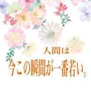 ヒメ日記 2025/09/11 07:52 投稿 レイナ 【福岡デリヘル】20代・30代★博多で評判のお店はココです！