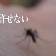 ヒメ日記 2025/09/23 09:32 投稿 レイナ 【福岡デリヘル】20代・30代★博多で評判のお店はココです！