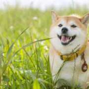 ヒメ日記 2025/10/18 07:46 投稿 レイナ 【福岡デリヘル】20代・30代★博多で評判のお店はココです！