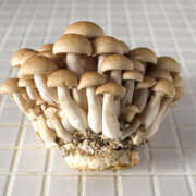 ヒメ日記 2025/10/23 19:53 投稿 レイナ 【福岡デリヘル】20代・30代★博多で評判のお店はココです！