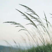 ヒメ日記 2025/11/13 19:25 投稿 レイナ 【福岡デリヘル】20代・30代★博多で評判のお店はココです！