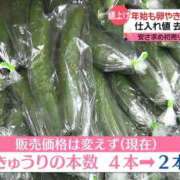 ヒメ日記 2025/11/14 15:36 投稿 レイナ 【福岡デリヘル】20代・30代★博多で評判のお店はココです！