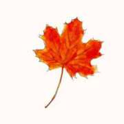 ヒメ日記 2025/12/02 03:16 投稿 レイナ 【福岡デリヘル】20代・30代★博多で評判のお店はココです！