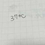 ヒメ日記 2025/12/02 06:23 投稿 レイナ 【福岡デリヘル】20代・30代★博多で評判のお店はココです！