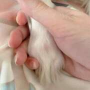 ヒメ日記 2025/12/02 09:51 投稿 レイナ 【福岡デリヘル】20代・30代★博多で評判のお店はココです！