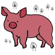 レイナ さようならお米ちゃん 【福岡デリヘル】20代・30代★博多で評判のお店はココです！