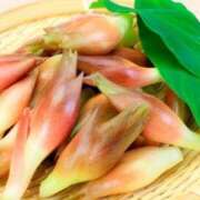 ヒメ日記 2025/12/14 14:37 投稿 レイナ 【福岡デリヘル】20代・30代★博多で評判のお店はココです！