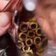 ヒメ日記 2025/12/18 21:59 投稿 レイナ 【福岡デリヘル】20代・30代★博多で評判のお店はココです！