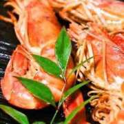 ヒメ日記 2025/12/24 21:30 投稿 レイナ 【福岡デリヘル】20代・30代★博多で評判のお店はココです！